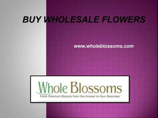 Buy Wholesale Flowers - www.wholeblossoms.com