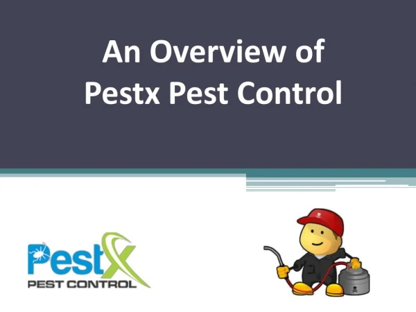 An Overview of Pestx Pest Control