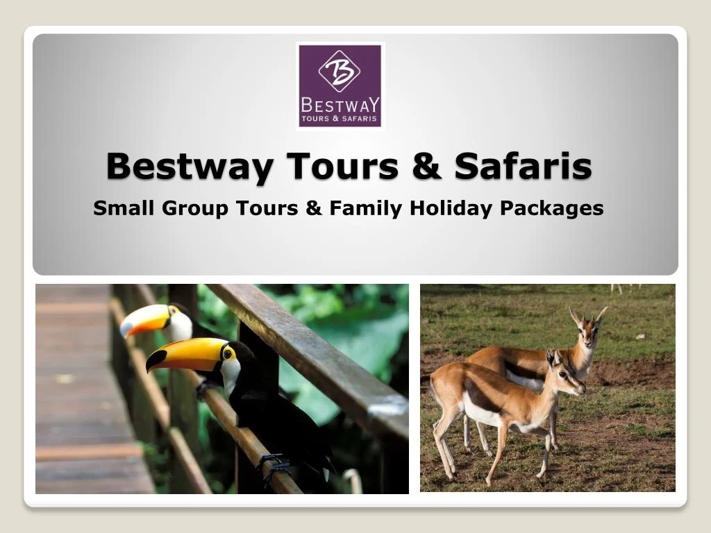 bestway tours safaris