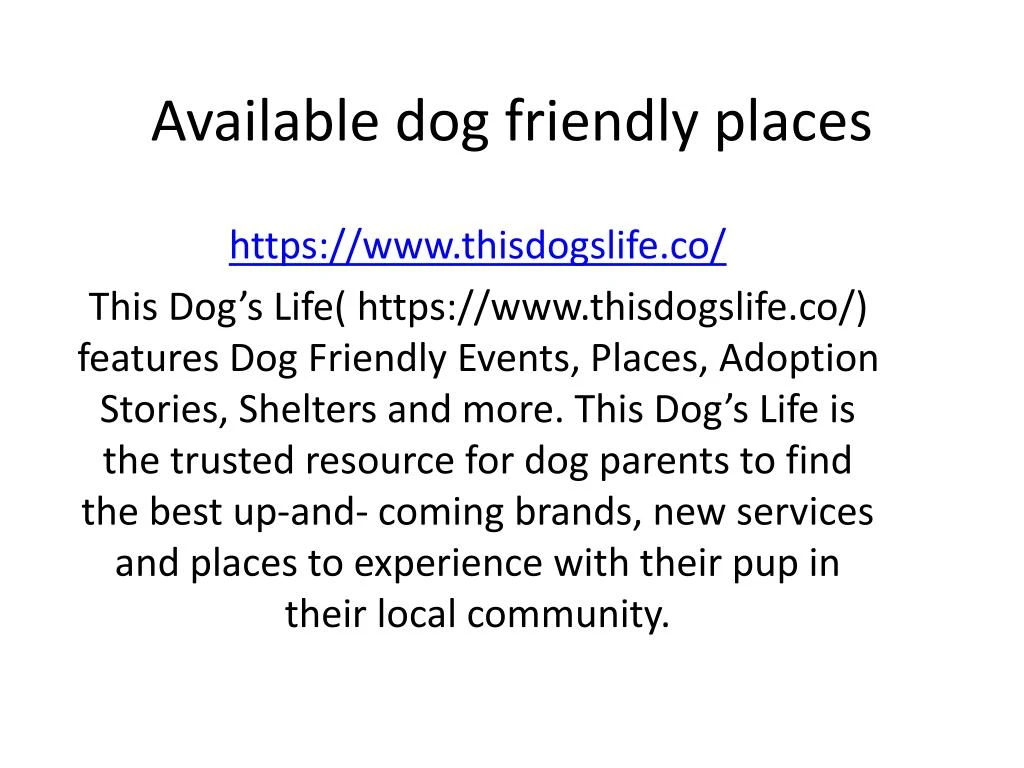 available dog friendly places