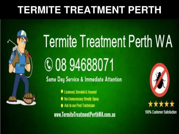 Termite Treatment Perth WA