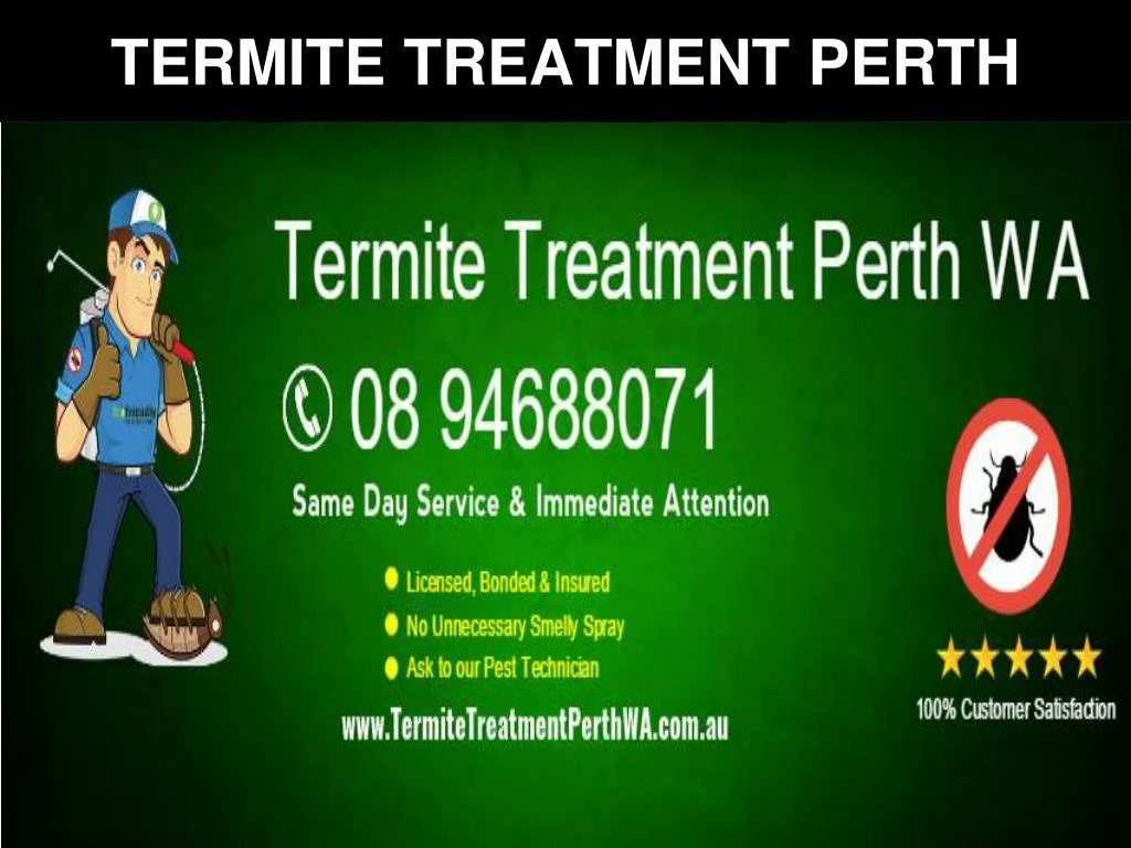 termite treatment perth