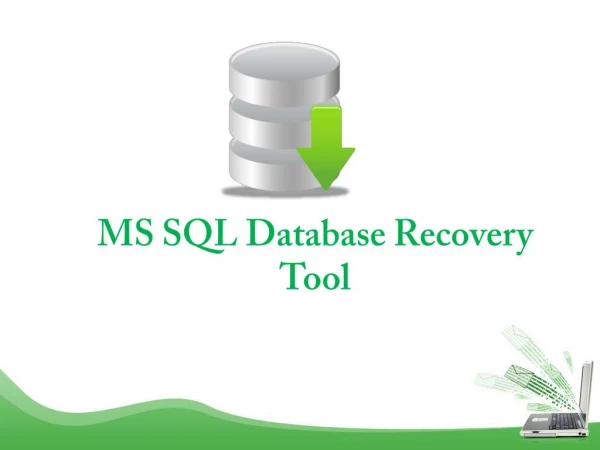 MS SQL Database Recovery Software