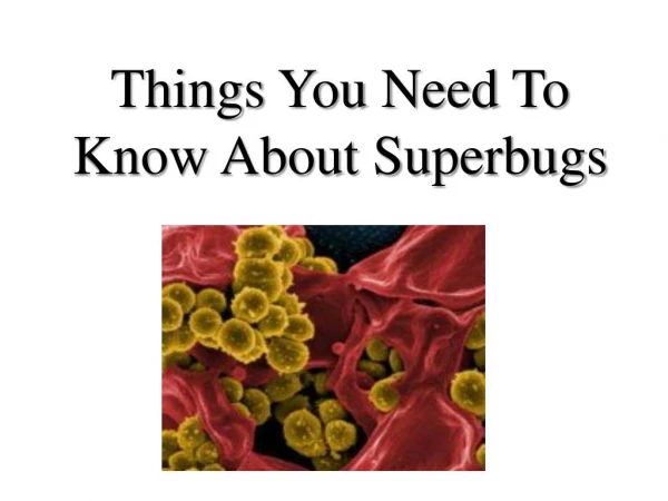 Things You Need To Know About Superbugs