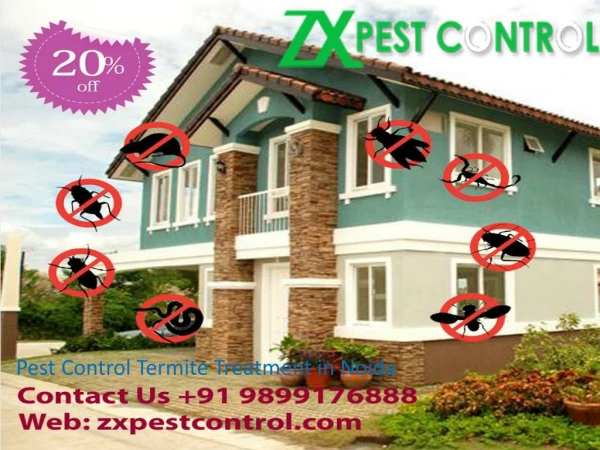 Pest Control Termite Treatment in Noida Call 91 9899176888