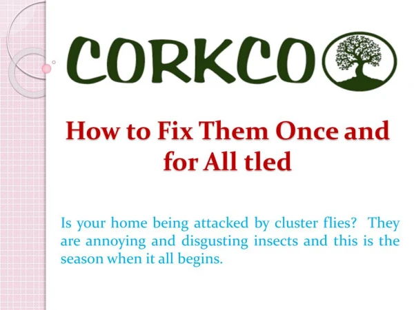 How to Fix Them Once and for All tled