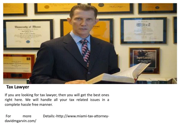 Tax Lawyer