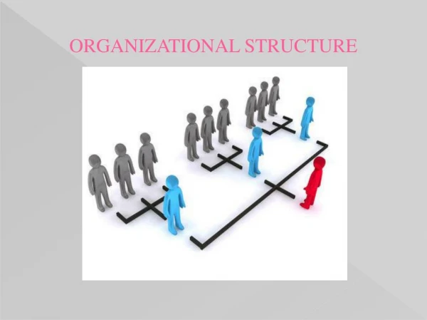 PPT on Organizational Structure by Experienced Writers