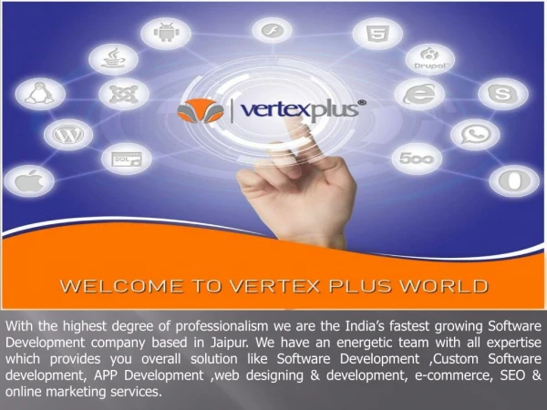 SEO Services at VertexPlus