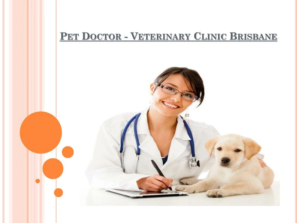 pet doctor veterinary clinic brisbane