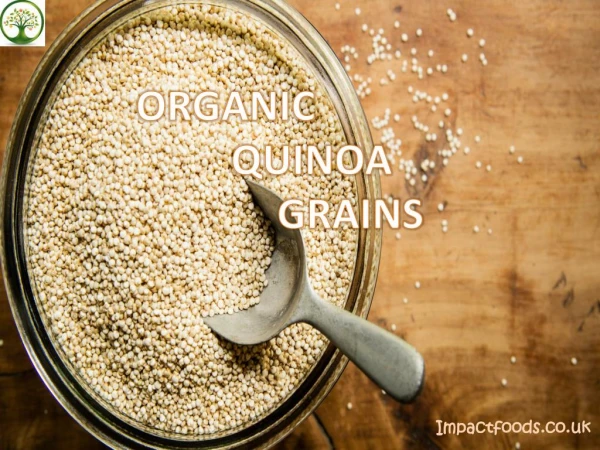 Best Edible Organic Quiona Grains