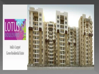 lotus boulevard 8744944925