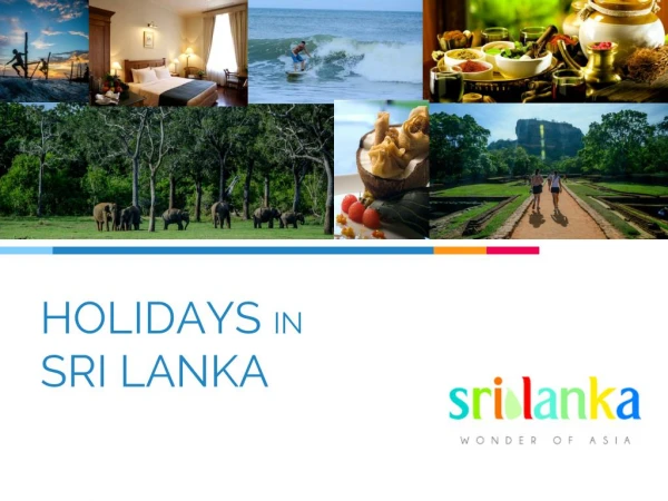 What you need to know about Sri Lanka Tours