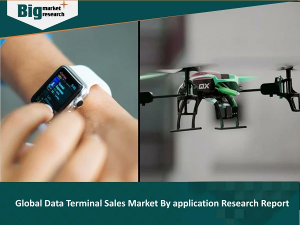 Global Data Terminal Sales Market Application Research Report