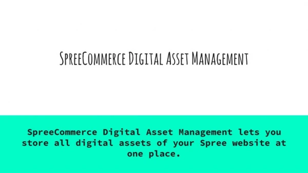 Spree Commerce Digital Asset Management