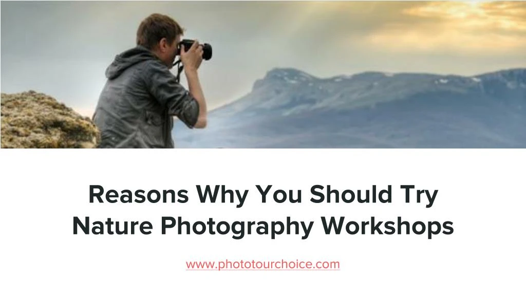 reasons why you should try nature photography workshops