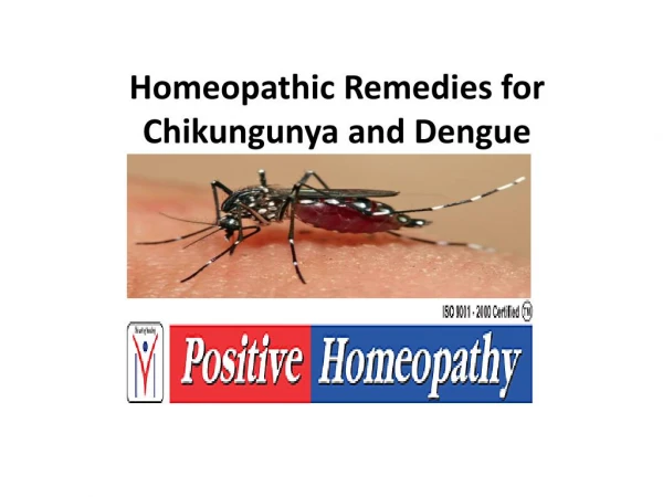 homeopathy treatment for chikungunya