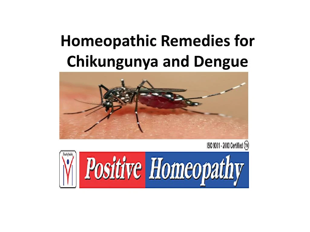 homeopathic remedies for chikungunya and dengue