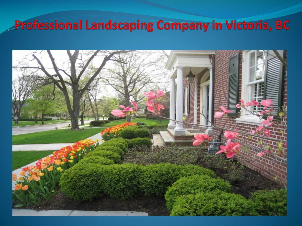 professional landscaping company in victoria bc