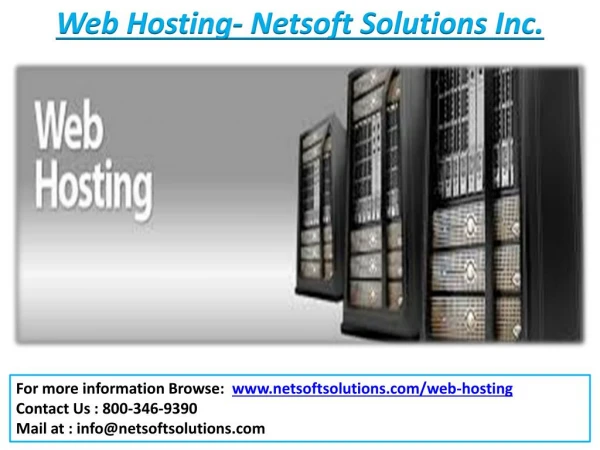 Web Hosting Services - Netsoft Solutions Inc.