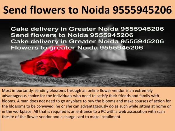 flowers to greater Noida 9555945206 http://www.floralmall.in/our-stores-pg-30.html