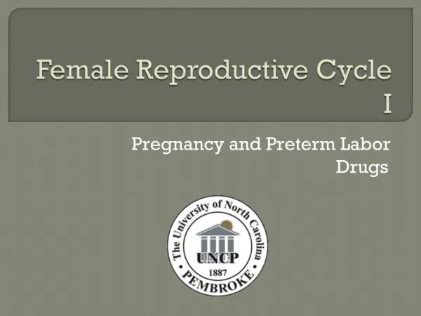 Female Reproductive Cycle I