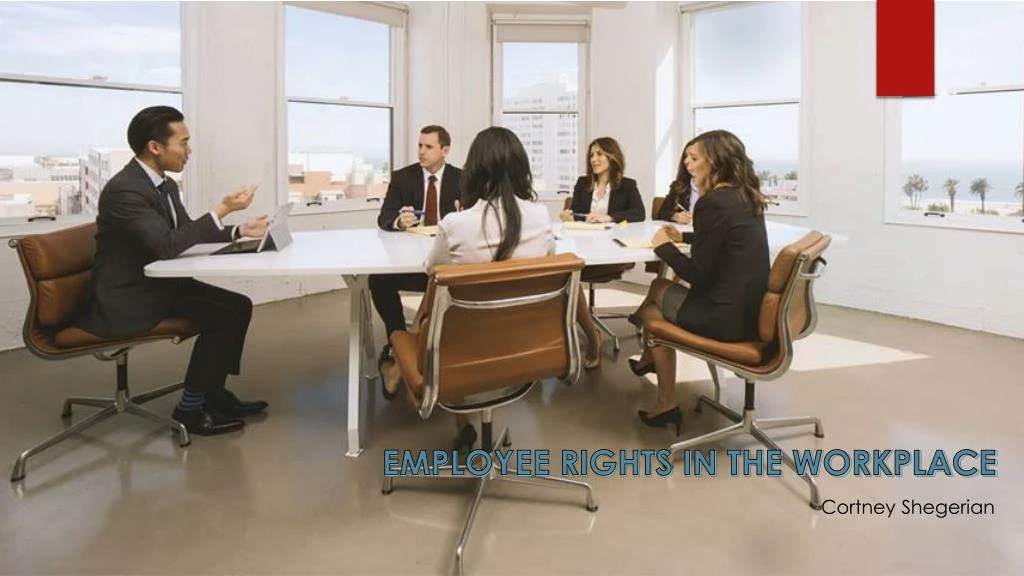 employee rights in the workplace