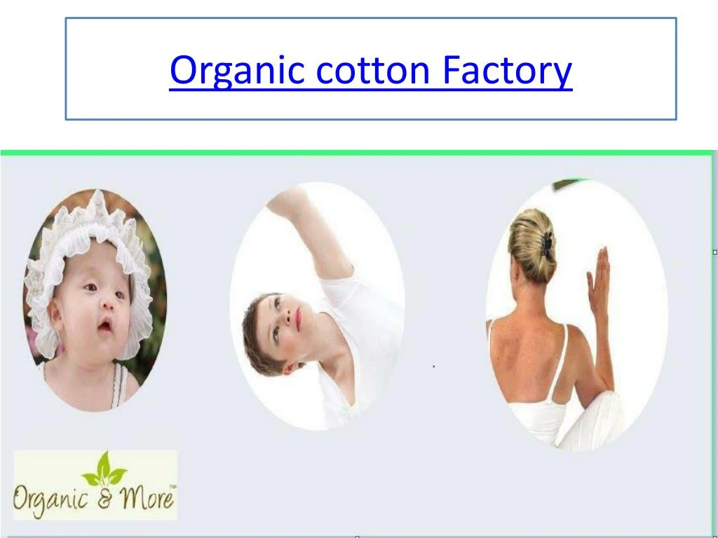 organic cotton factory