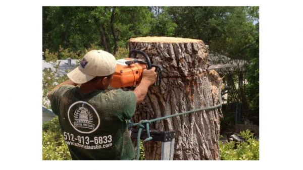 Stump Removal Austin TX