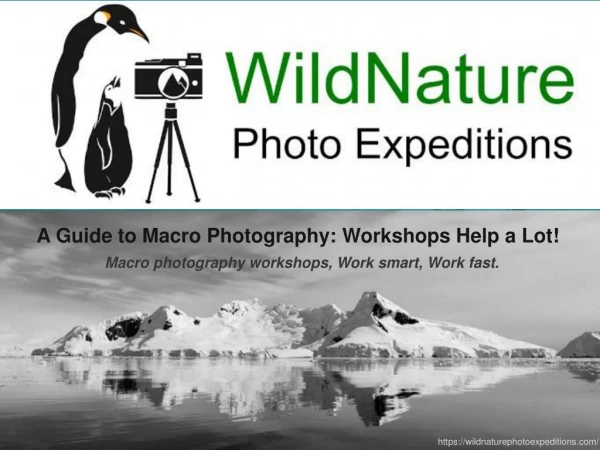 A Guide to Macro Photography: Workshops Help a Lot!