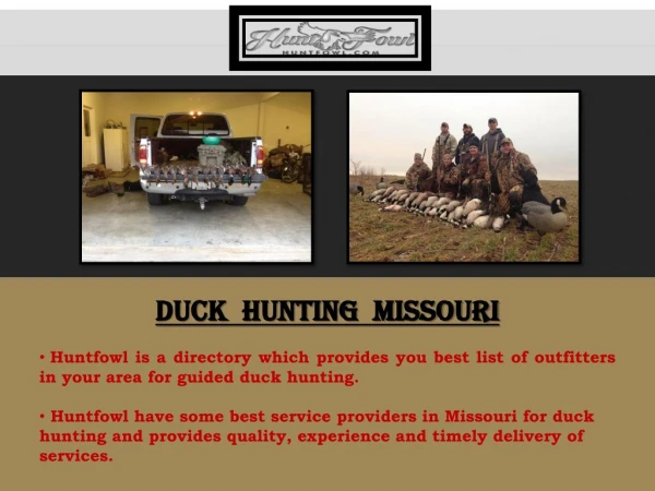 Duck Hunting Missouri