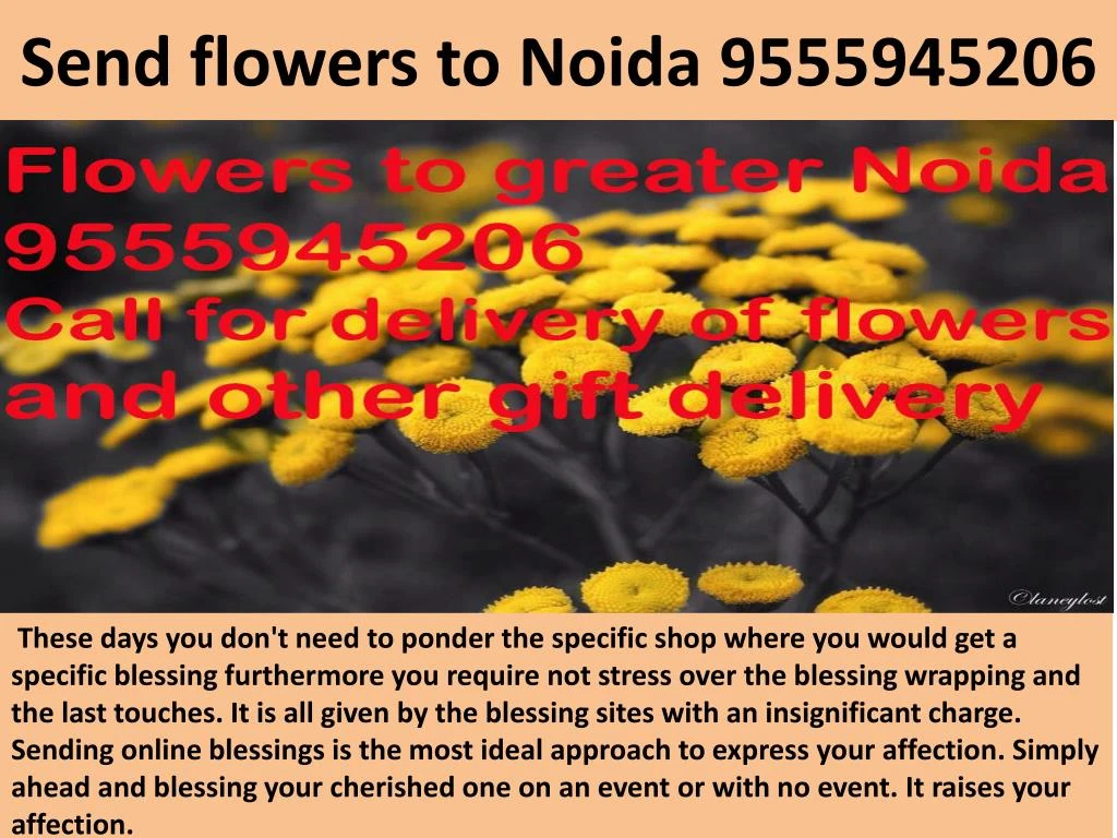 s end flowers to noida 9555945206