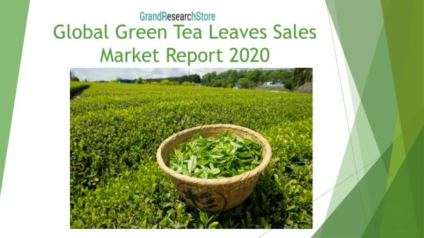 Global Green Tea Leaves Sales Market Report 2020