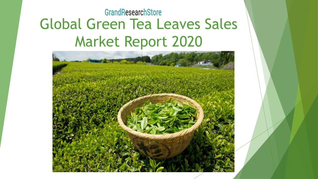 global green tea leaves sales market report 2020