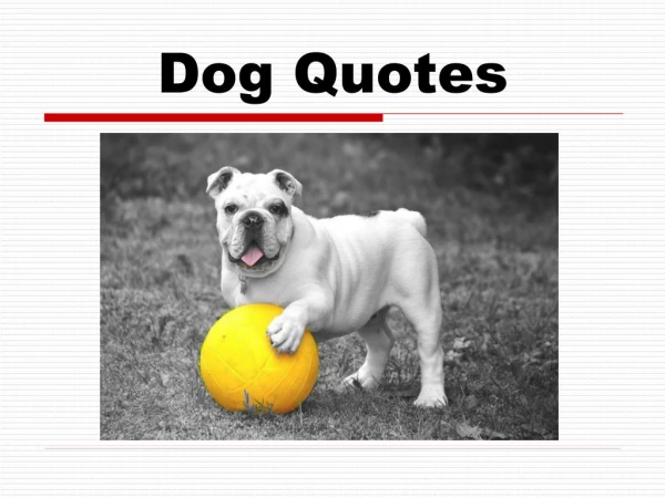 Dog Quotes For Every Dog Lover