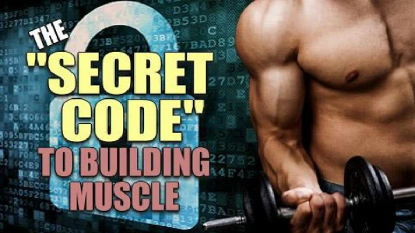 Rapid Muscle Building Secrets