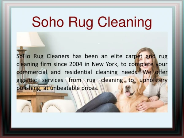 Pet Stains & Odor Removal
