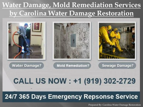 Water Damage, Mold Remediation Services by Carolina Water Damage Restoration