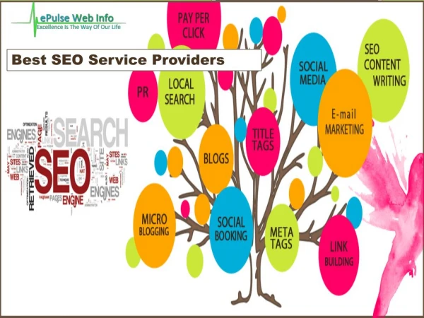 Best Seo Service Providers- Epulsewebinfo.com- Benefits of seo- Software companies in India