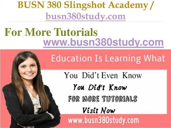 BUSN 380 Slingshot Academy / busn380study.com