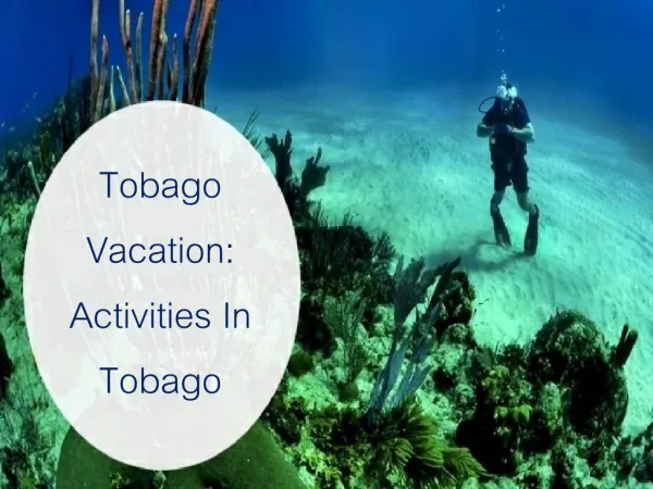 Tobago Vacation: Activities In Tobago