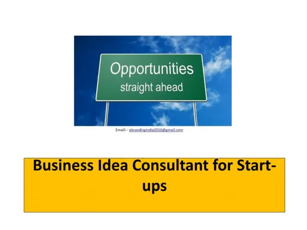 Business Idea Consultant for Start-ups