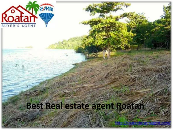 Best Real estate agent Roatan