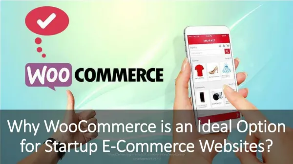 Why WooCommerce is an Ideal Option for Startup E-Commerce website