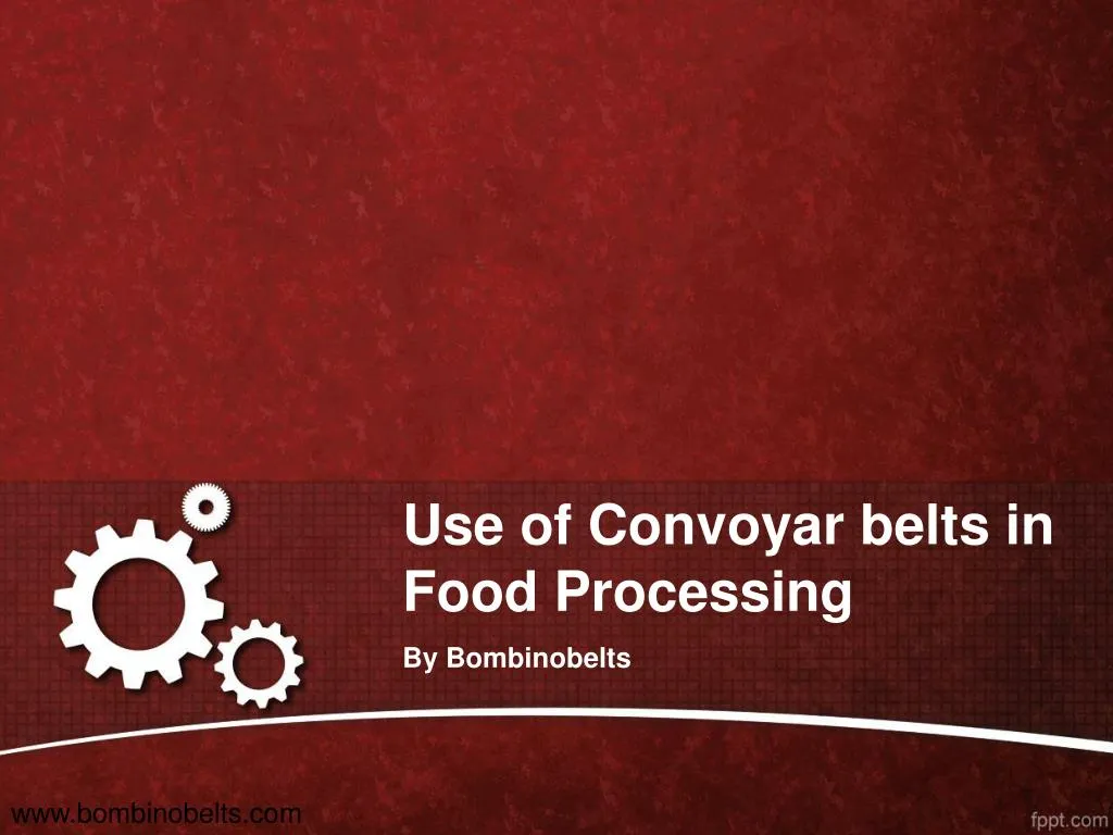use of convoyar belts in food processing