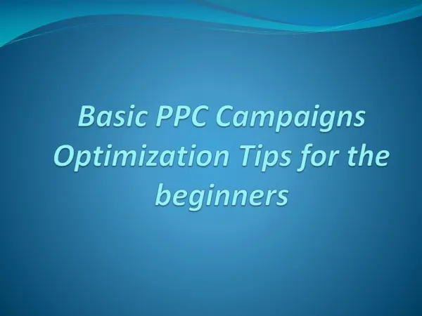 Basic PPC Campaigns Optimization Tips For The Beginners