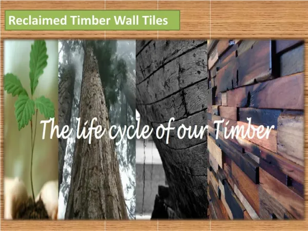 Reclaimed Timber Wall Tiles