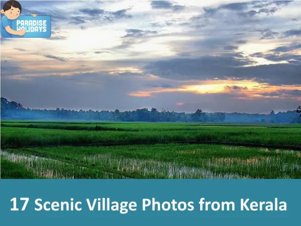 17 Scenic Village Photos from Kerala