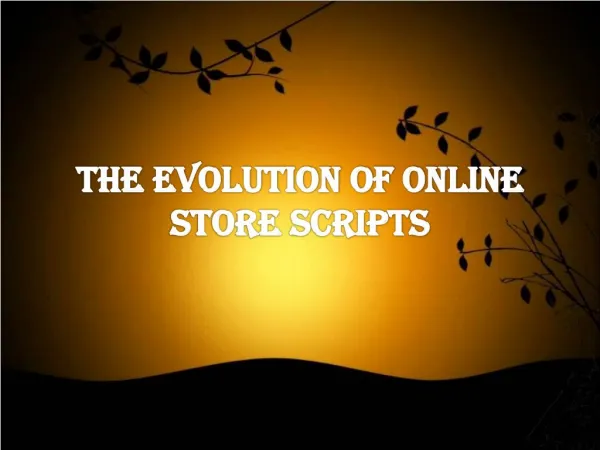 The Evolution of Online Store Scripts