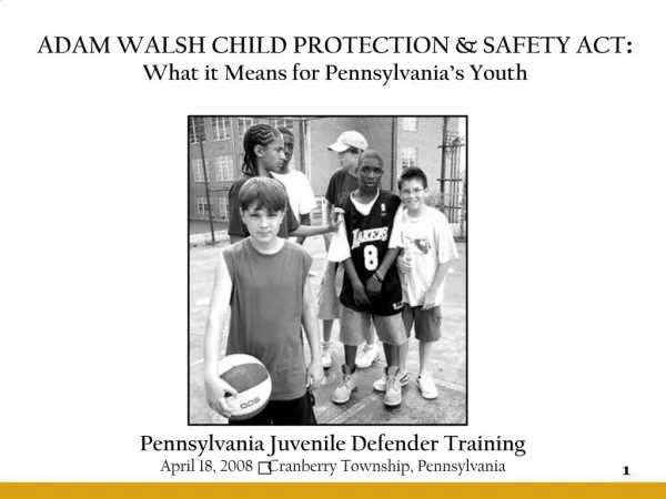 Pennsylvania Juvenile Defender Training April 18, 2008 Cranberry Township, Pennsylvania